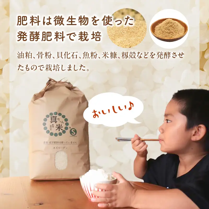 【令和7年産】農薬・化学肥料不使用 真ちゃん米 15kg【E4-008】