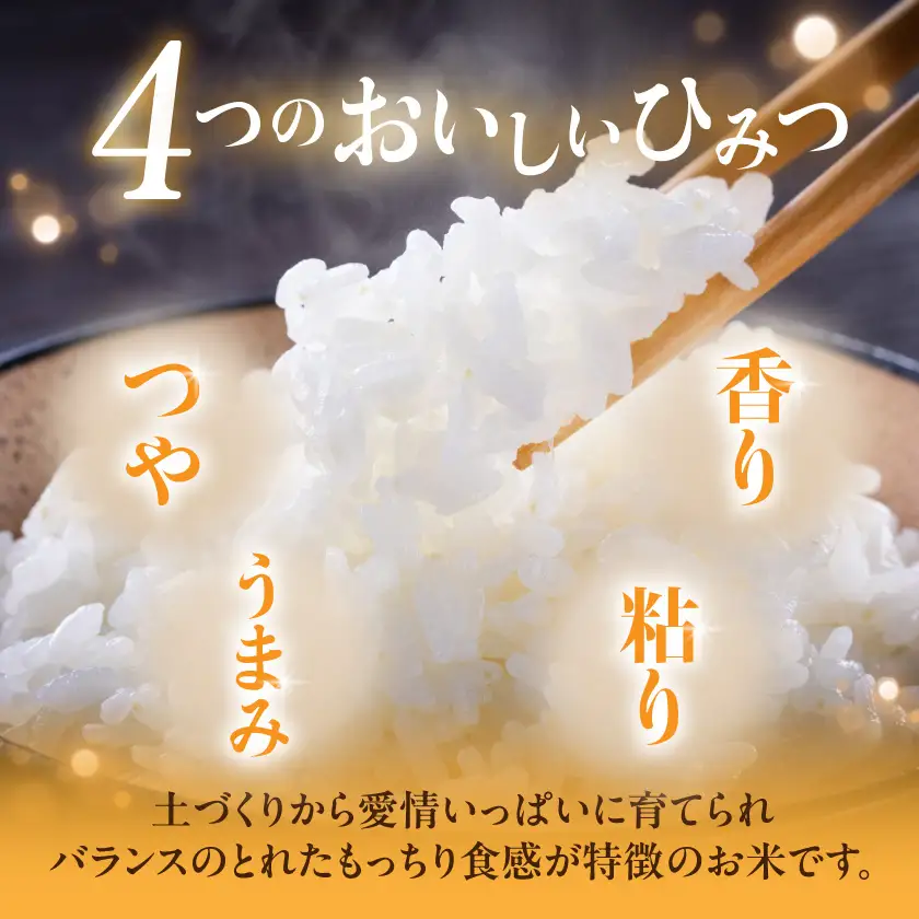 都城盆地のお米「おてんとそだち」9kg(3kg×3袋)〔21-15-006-9kg〕_(都城市) 都城産 お米 9kg