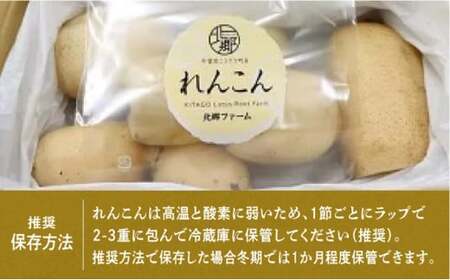 千葉県れんこん部門注文数最上位達成！無選別 神崎町ふるさと れんこん（1.5kg）（※4～7月受付分は8月以降順次発送）[013-a008]