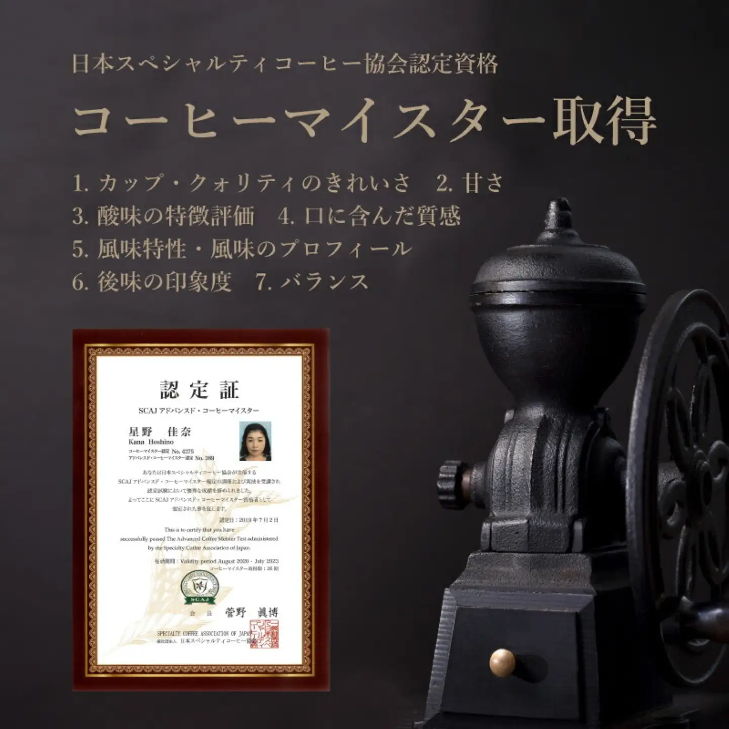 ＜定期便＞6回プラン ドリップバッグ おまかせ３種セット [2か月に1回、計6回発送]