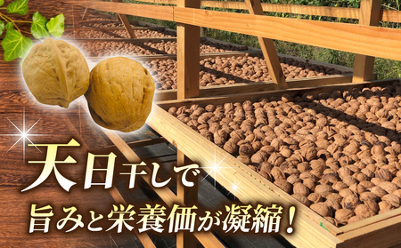 令和7年産 信濃くるみ　剥きタイプ（900g）※150g×6袋 【アルファーム】