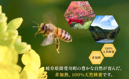 はちみつ 2種 セット 揖斐峡はちみつ 横蔵はちみつ 計600g 各300g 瓶 蜂蜜 ハチミツ 非加熱 天然 100% 百花蜜 純粋 生はちみつ 国産 ハニー お取り寄せ ギフト プレゼント 贈答 贈り物 岐阜県 揖斐川町 送料無料 蜂とステンド工房揖斐川