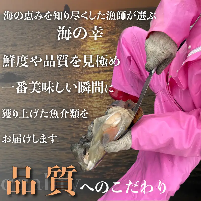 愛知県産平貝(タイラギ)干物 (塩味 醤油味 各1パック)セット冷凍 干物 貝 魚介類 醤油 塩 しお しょうゆ 平貝 かい カイ 魚貝