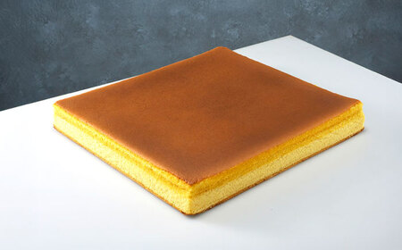 【お中元対応可】長崎カステラ 1号(580g、10切)×2本 / かすてら カステラ お菓子 おやつ スイーツ / 諫早市 / 株式会社異人堂 [AHBF006]
