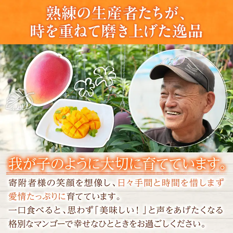 リピーター続出!!数量限定 宮崎県産 完熟 マンゴー 2L以上×2玉 令和8年発送分 フルーツ 果物_C123-24