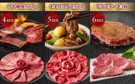 【6か月定期便】宮崎牛プレミアム定期便 牛肉 肉 肩ロース モモ スライス ロース ロースステーキ ステーキ ウデ 焼肉 ヒレ ヒレステーキ 宮崎牛 赤身 霜降り 料理 アウトドア キャンプ バーベキュー BBQ 贈り物 贈答 ギフト 柔らかい パーティー プレゼント ギフト クリスマス お正月 宮崎県 高千穂町 _Tk031-t020