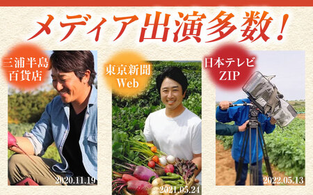 【全６回定期便】すずなり採れたて野菜BOX　(5~7品）【鈴也ファーム】[AKCE012]
