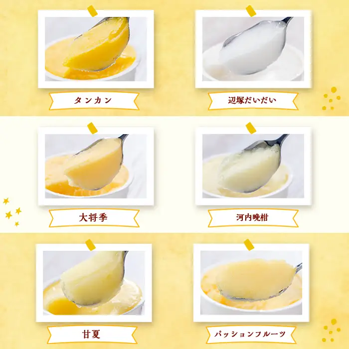 【A83004】南のくだもの王国 南のFRUIT＆CROPS ジェラート セット (9種 9個入り) ジェラート アイスクリーム アイス スイーツ フルーツ おやつ デザート お菓子 冷凍 冷凍食品 ギフト 甘夏 タンカン 柑橘 大将季 【農地所有適格法人株式会社P＆Y'sLabo】