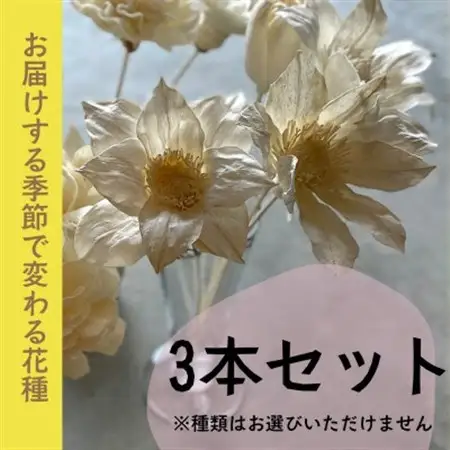 ディフューザー用ウッドフラワー【1534966】