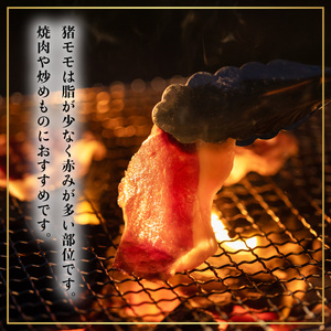 猪肉 カルビ モモ スライス 計550g セット 食べ比べ ジビエ 肉 猪 いのしし イノシシ 薄切り 焼肉 BBQ 冷凍 阿波ジビエ 阿波地美栄
