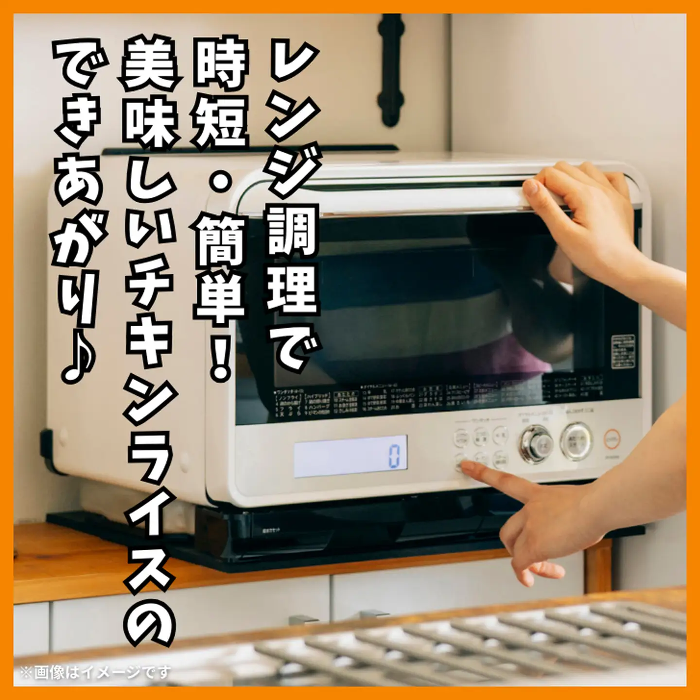 チキンライス 250g×10袋 JAさが ピラフ：B130-061