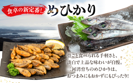 メヒカリ唐揚げ うすしお 200g×2袋 おつまみ