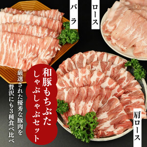 和豚もちぶた しゃぶしゃぶ 食べ比べ しゃぶしゃぶ しゃぶしゃぶ しゃぶしゃぶ katayama001