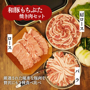 和豚もちぶた 焼肉 1.5kg 食べ比べ 豚肉 豚肉 豚肉 豚肉 豚肉 katayama002