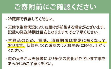 ぶどう (シャインマスカット) 約1kg (2房)｜ ぶどう 【2026年8月順次発送】