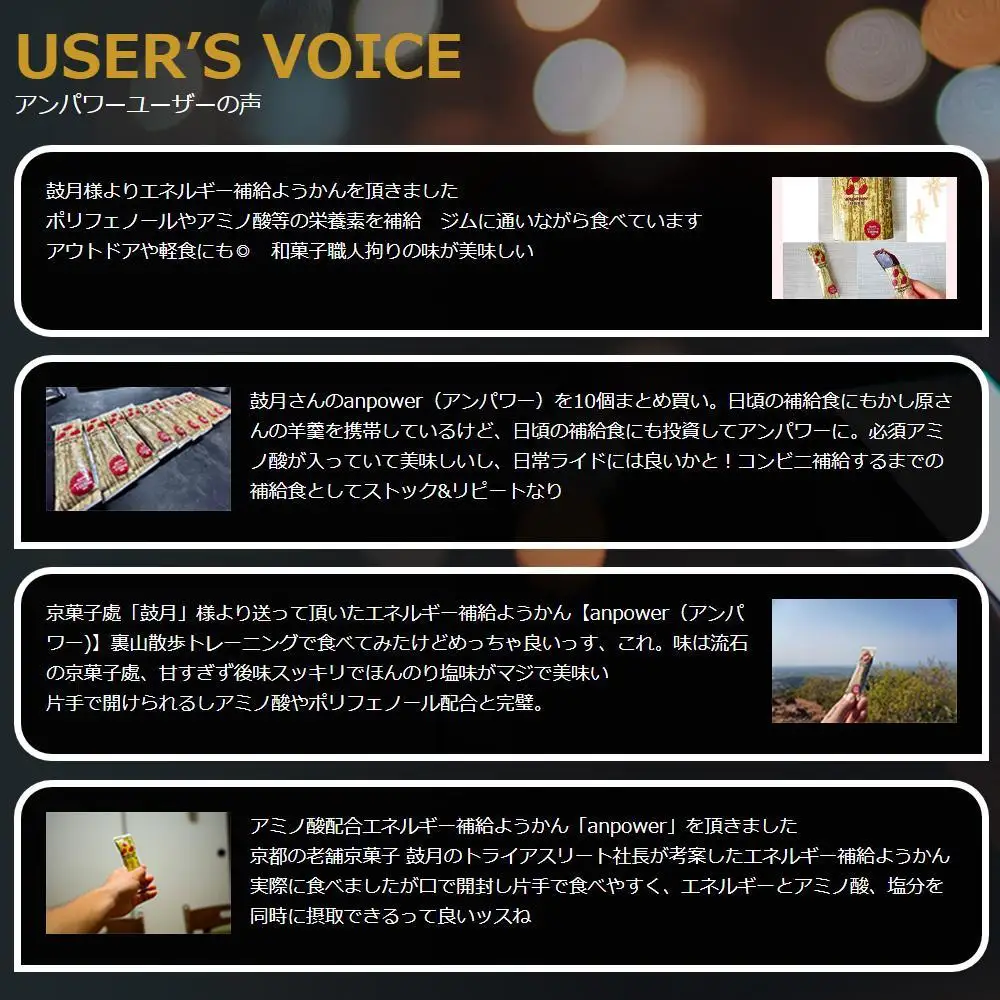＜定期便・年4回＞ 【鼓月】エネルギー補給羊羹 anpower 4箱（5本入×4）｜京都 千寿せんべい 有名店 人気 和菓子 和菓子