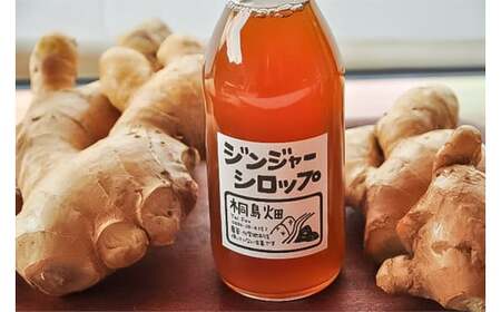 【栽培期間中、農薬・化学肥料不使用】桐島畑の季節野菜(5種類)＋ジンジャーシロップ1本 Fkh-11 ／ やさい 国産野菜 四万十 高知 季節 フレッシュ 旬 無農薬 有機農業 生姜 粗糖 温活 ジンジャーエール ホットジンジャー