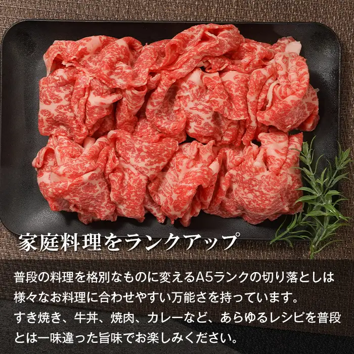 【定期便6ヶ月】【A5ランク】淡路島産黒毛和牛 切り落とし 500g  切り落し 神戸ビーフ