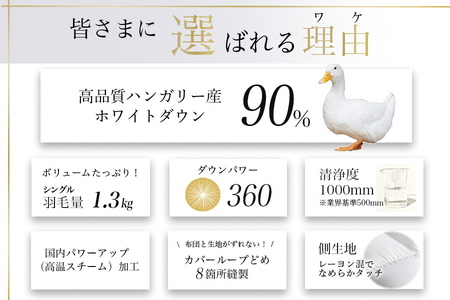 【アンバーホワイト】羽毛布団 本掛け布団 シングル アクア