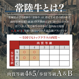 常陸牛レトルトカレー5食入り（BG-129）
