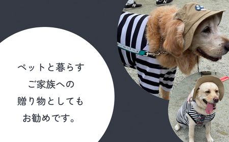 きのこアウトドアハット ベージュXXL 犬 ペット グッズ 撥水 帽子 キャップ 男の子 女の子 かわいい