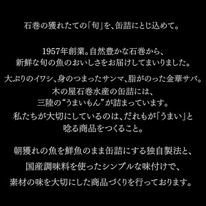 木の屋石巻水産　美里町直売所厳選美里町の逸品＆缶詰セット【kany005】