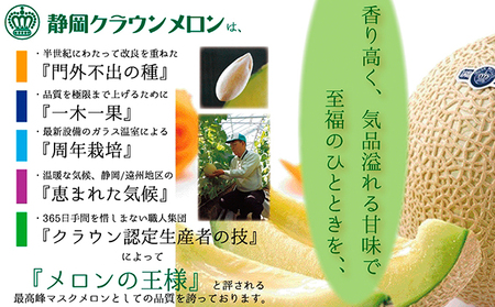 クラウンメロン　特大玉　1玉　12ヵ月連続お届け【配送不可：離島】 メロン青肉 果物類 フルーツ 