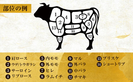 【一頭丸ごとオーダー！】 博多和牛 一頭食べ尽くしセット[VBB082]