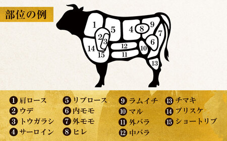 【半頭丸ごとオーダーカット！】博多和牛 半頭食べ尽くしセット[VBB083]