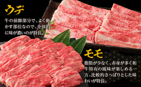 牛肉 赤身 牛肉[宮崎牛 ウデ・モモ しゃぶしゃぶ 800g]