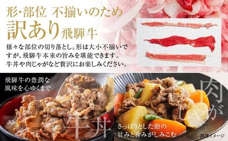 訳あり 飛騨牛 切落とし 500g 冷凍真空パック | 肉 お肉 切り落とし 薄切り すき焼き すきやき 黒毛和牛 和牛 人気 おすすめ 牛肉 ギフト お取り寄せ 飛騨高山ミート MZ011VC13