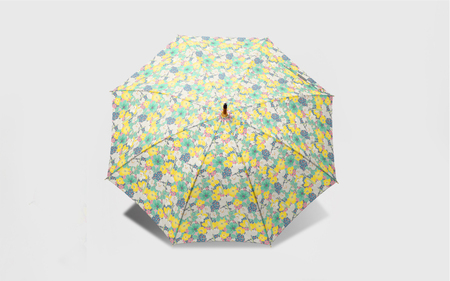 EMILY BURNINGHAM 晴雨兼用長傘47cm フラワー（01）
