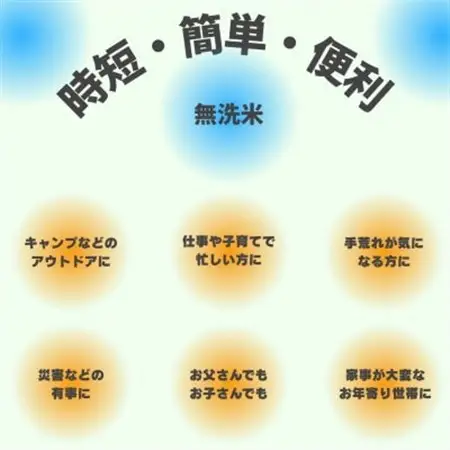 令和7年産　宮城県産【ササニシキ】無洗米2kg_ 無洗米 米 こめ コメ_【1545986】