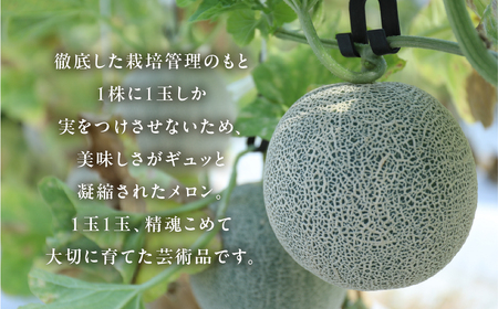 アールスメロン 大玉 1玉 豊橋城下 メロン