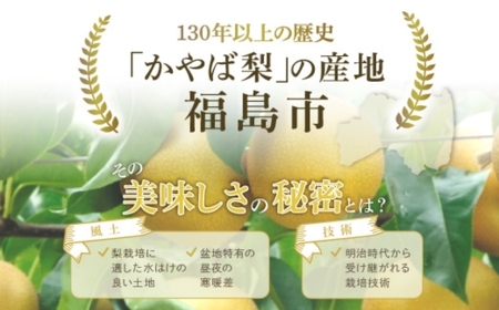 No.3018 福島のなし 品種お任せ 約1kg【2026年発送】