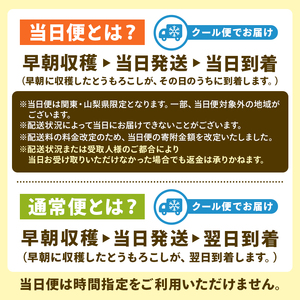 【通常便】【先行受付 2026年6月20日～8月上旬発送予定】早朝収穫！とうもろこし10～12本（味甘ちゃん・みかんちゃん）【本州限定のお届け】 mi0046-0008