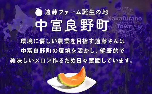 【2026年発送】遠藤ファームの中富良野メロン青肉大玉１玉（1.6kg以上）【AX-007】
