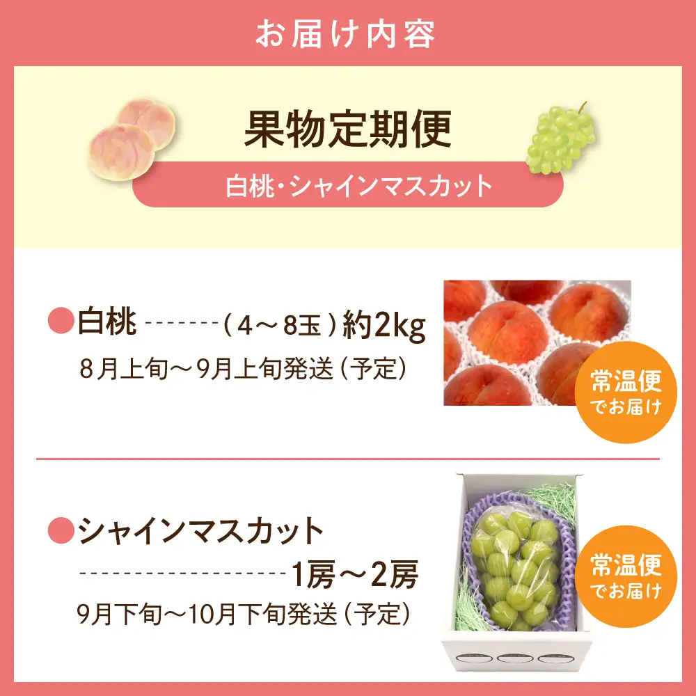 【2026年産 全2回定期便】 桃 シャインマスカット 果物定期便