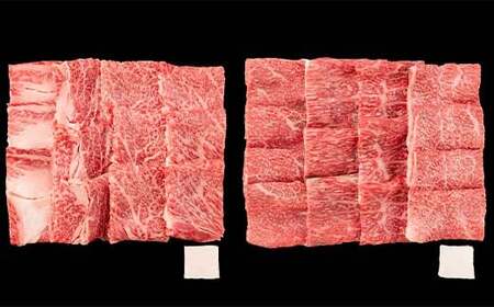米沢牛 焼肉用 ロース 500g モモ 600g 計1.1kg 牛肉 ブランド牛 F2Y-6052