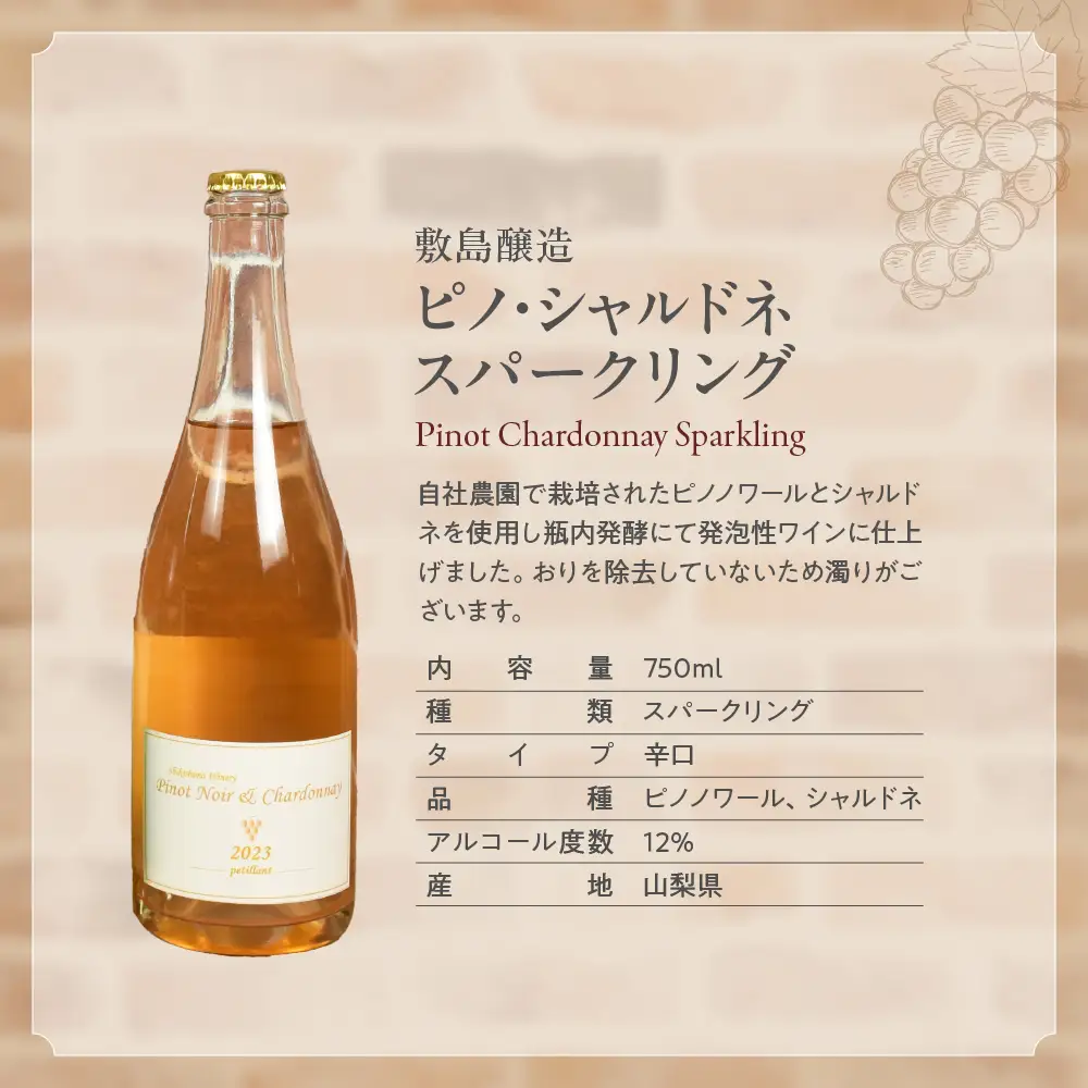 甲斐市産スパークリングワイン2本セット　ワイン 家飲み スパークリング 日本ワイン 山梨ワイン 定番 テーブルワイン お酒 SUNTORY 甲州 飲み比べ 山梨県 甲斐市 AD-296