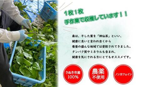 桑粉 150g 【桑の葉 粉末 ノンカフェイン 香川県 さぬき市】