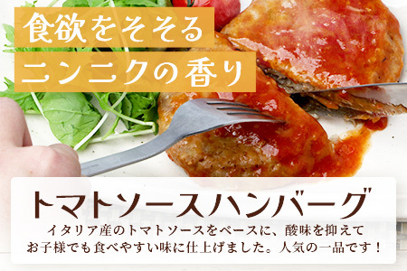 温めるだけ！ レンチン ハンバーグ ≪トマトソース≫ 10個 ハンバーグ 湯煎 レンジ 簡単 大容量 レトルト ハンバーグ 温めるだけ 簡単 冷凍 レンジ 湯せん 個包装 067-0701