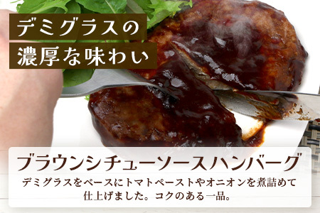 温めるだけ！ レンチン ハンバーグ ≪ ブラウンシチュー ソース ≫ 10個 ハンバーグ 湯煎 レンジ 簡単 大容量 レトルト ハンバーグ 温めるだけ 簡単 冷凍 レンジ 湯せん 個包装 067-0704