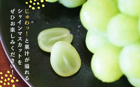 【先行予約】シャインマスカット 1房500g | シャインマスカット 新潟県 出雲崎町