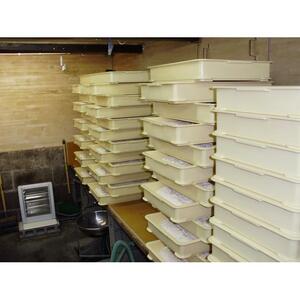 生こうじ「出来立て真空パック」500g入り×４個