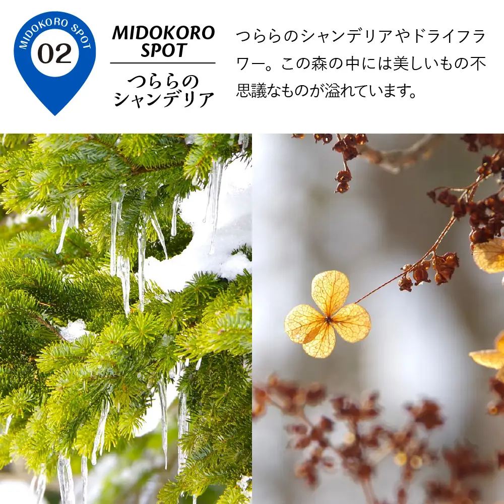 神秘の森と湖沼へ！特別なスノーシューツアー