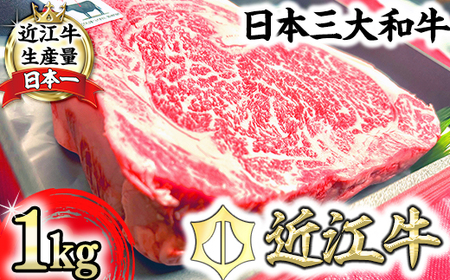 【定期便】近江牛 定期便 塊肉 ブロック肉 赤身 霜降り 食べ比べ 全2回 【FO47W】 ローストビーフ ステーキ