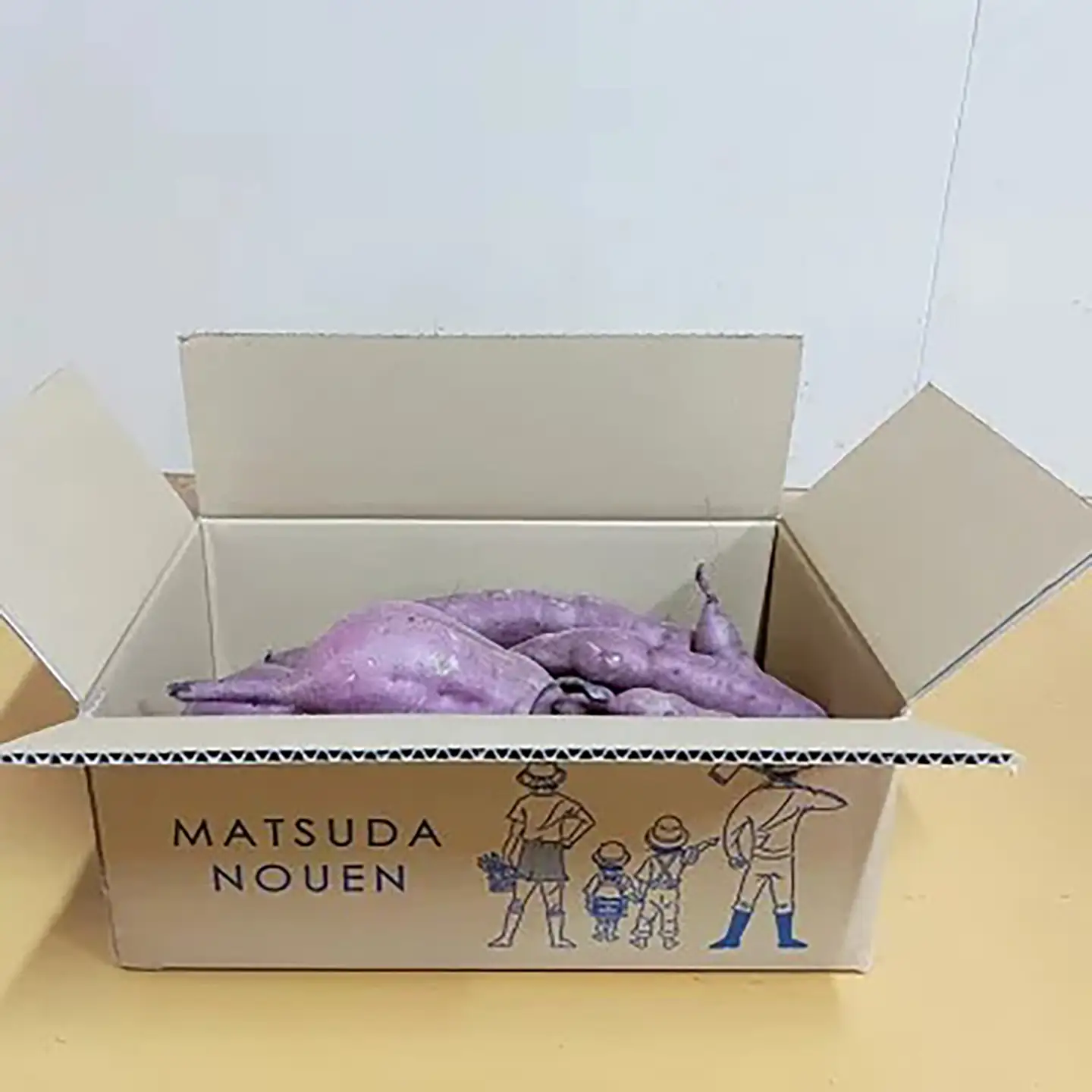 先行予約 さつまいも 訳あり 紅はるか 4.5kg さつまいも