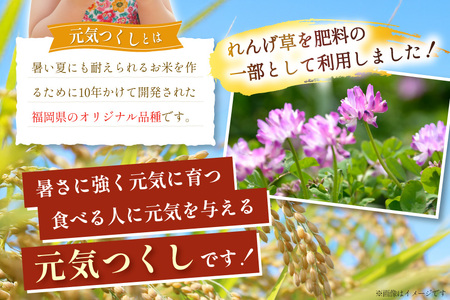 白米 精米 元気つくし 令和7年産 白米 5kg [um40azp240001]