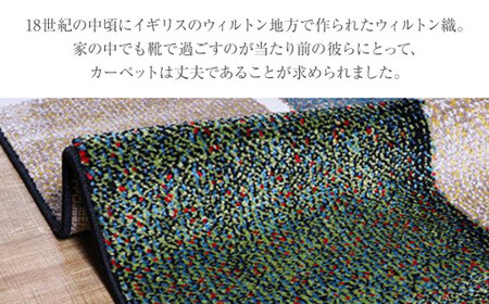 02-AD-0110・ウィルトンカーペット パレット 80×140ｃｍAA436